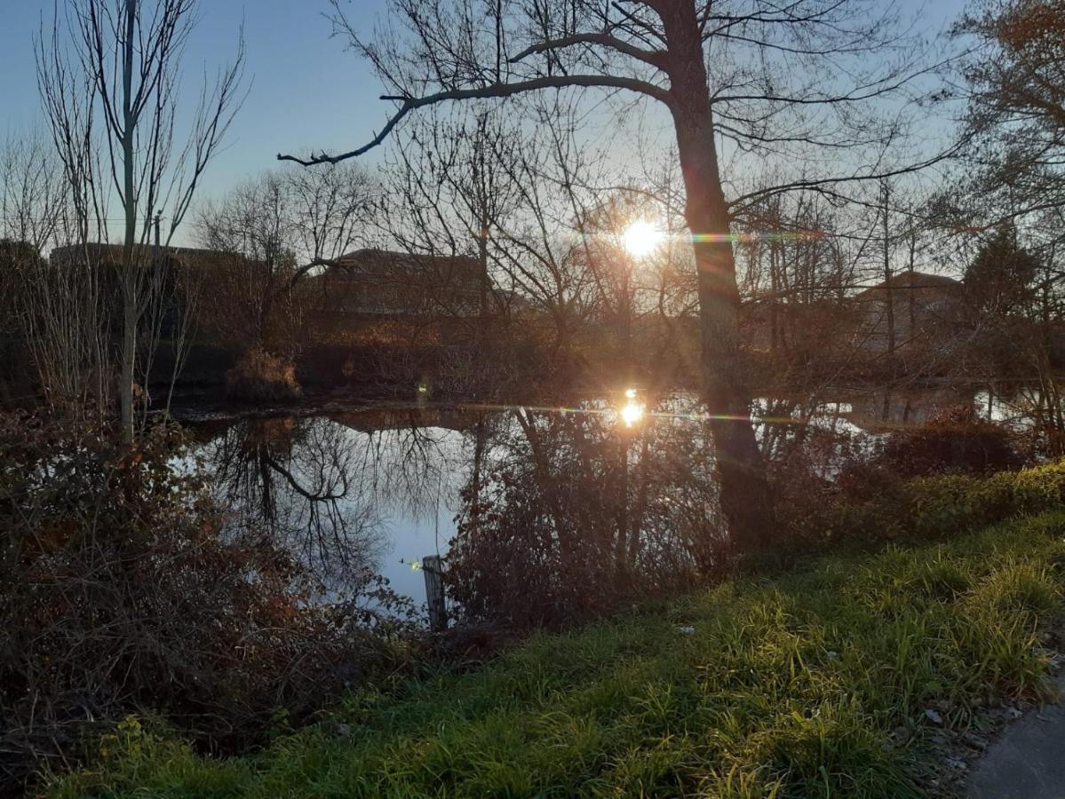 Apartament Atico Rosita En Camino De Santiago Xinzo de Limia Zewnętrze zdjęcie