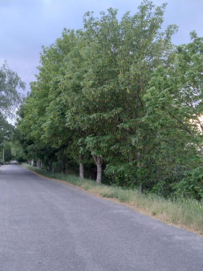 Apartament Atico Rosita En Camino De Santiago Xinzo de Limia Zewnętrze zdjęcie